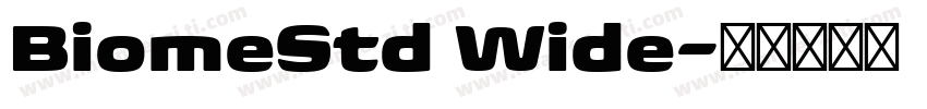 BiomeStd Wide字体转换